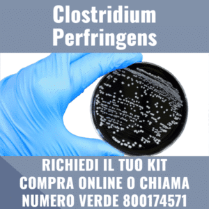 Clostridium Perfringens