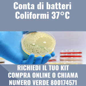 Conta di batteri Coliformi 37°C