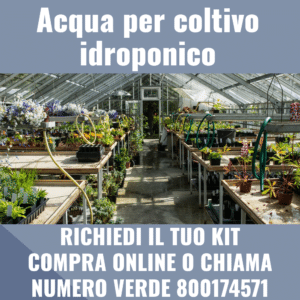 acqua per coltivo idroponico