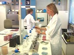 Laboratorio Analisi Acqua: Controllo Costante per una Vita Sana