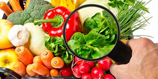 Sicurezza Alimentare al Primo Posto: L'Importanza dell'Analisi dell'Acqua