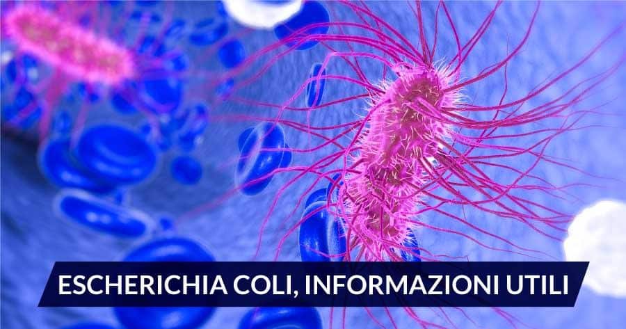 Strategie di⁣ Prevenzione e Controllo dell'Escherichia Coli nei Sistemi di Approvvigionamento Idrico