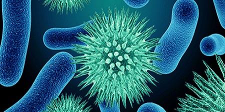 - Le malattie causate dai batteri coliformi e come prevenirle