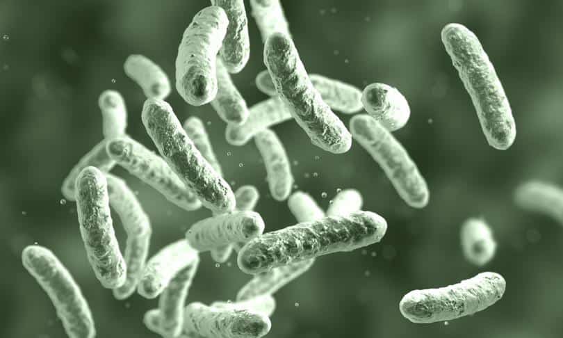 Raccomandazioni per il monitoraggio e ⁢la gestione dei coliformi nell'approvvigionamento idrico
