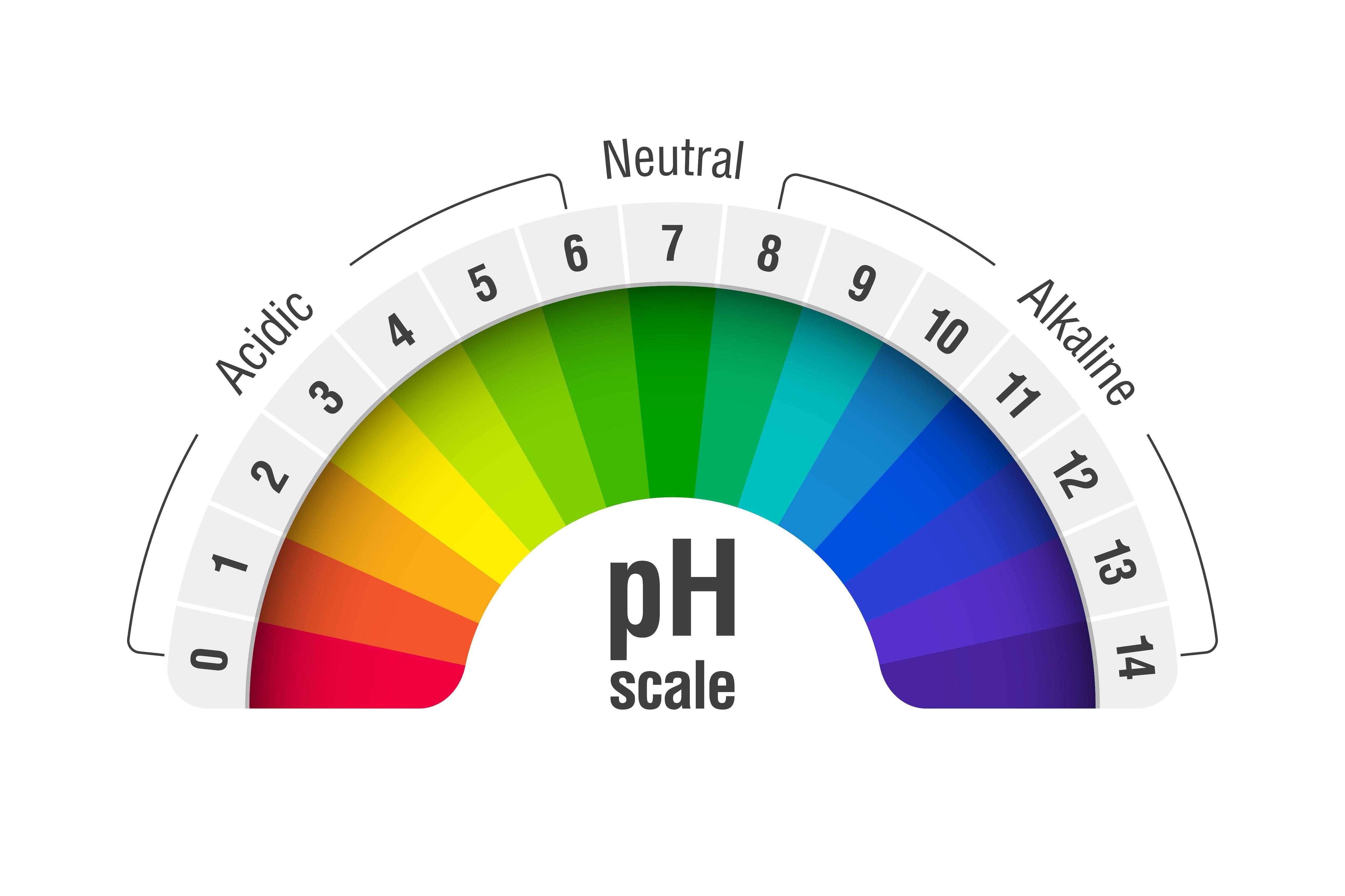 Tecniche precise per la misurazione del pH ‍in campo alimentare