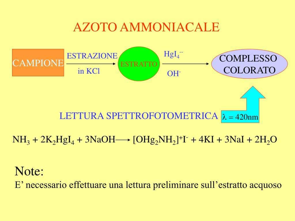 Implicazioni ambientali dell'eccesso di azoto ammoniacale